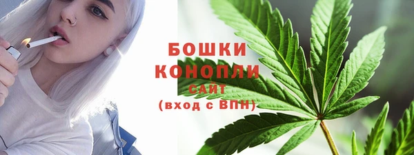 ПСИЛОЦИБИНОВЫЕ ГРИБЫ Весьегонск