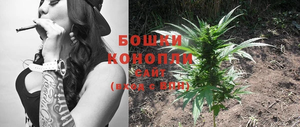 ПСИЛОЦИБИНОВЫЕ ГРИБЫ Козловка