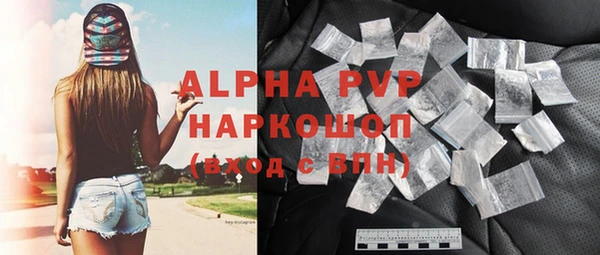 винт Коряжма