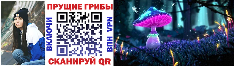Псилоцибиновые грибы Cubensis  Кола 